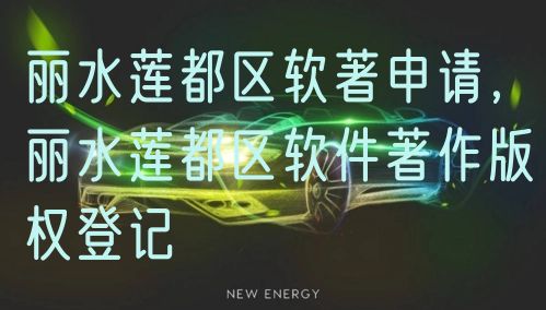 丽水莲都区软著申请，丽水莲都区软件著作版权登记