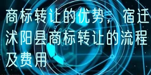 商标转让的优势,宿迁沭阳县商标转让的流程及费用