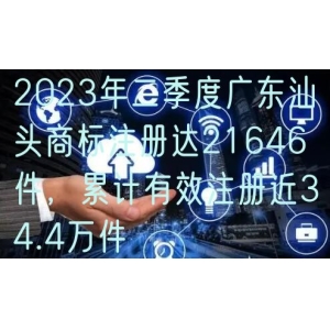 2024年二季度广东汕头商标注册达21646件，累计有效注册近34.4万件