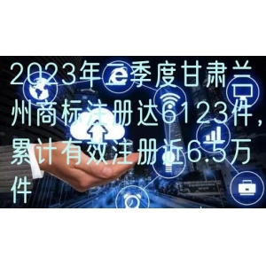 2024年二季度甘肃兰州商标注册达6123件，累计有效注册近6.5万件