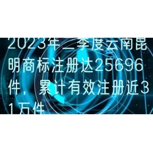 2024年二季度云南昆明商标注册达25696件，累计有效注册近31万件