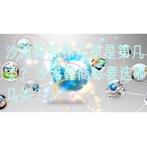 沙滩鞋商标注册是第几类？沙滩鞋商标要选哪几类？