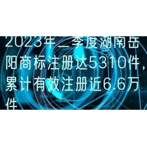 2024年二季度湖南岳阳商标注册达5310件，累计有效注册近6.6万件