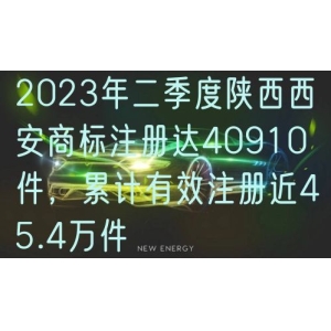 2024年二季度陕西西安商标注册达40910件，累计有效注册近45.4万件