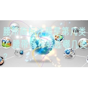 腰带商标注册是第几类？腰带商标要选哪几类？