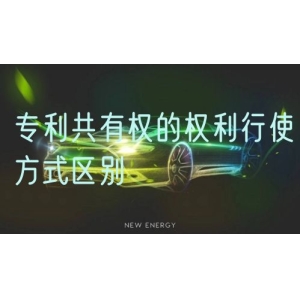 专利共有权的权利行使方式区别