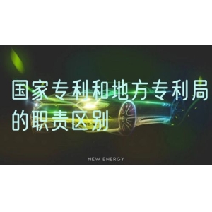 国家专利和地方专利局的职责区别