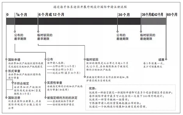海牙体系，你了解吗？