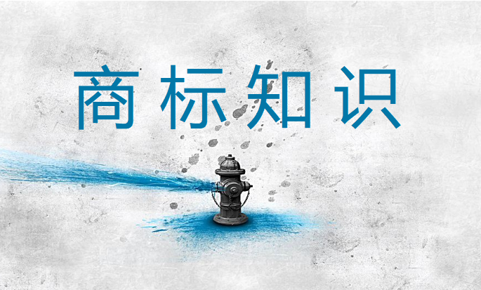 商标是如何进行价值评估的？